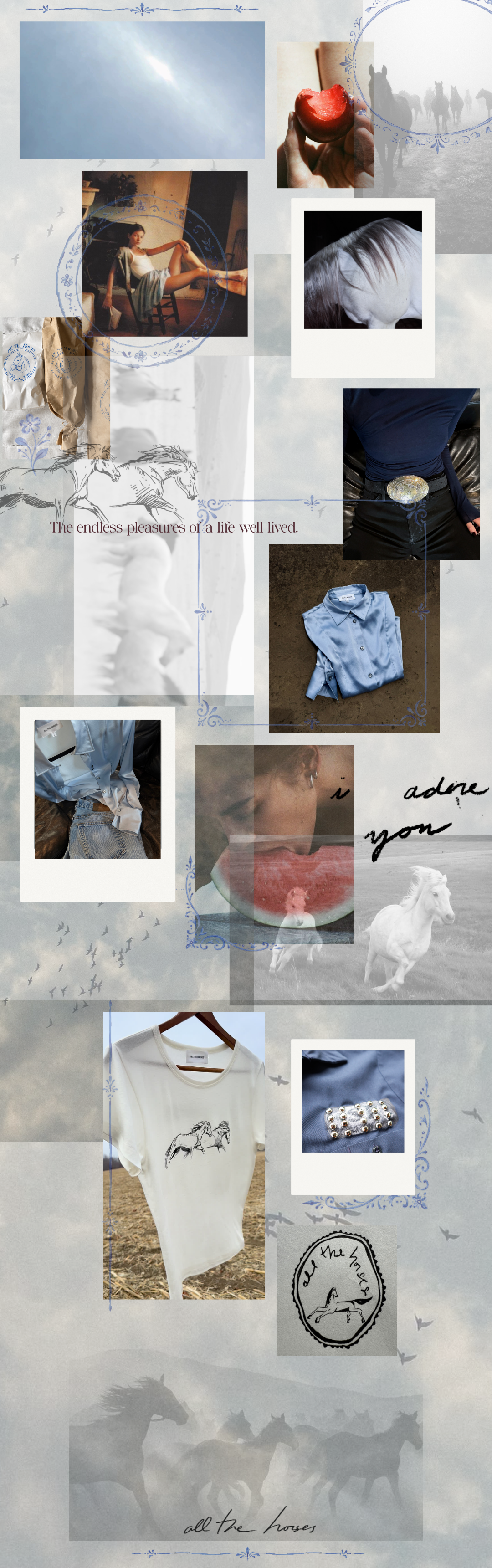 All The Horses launch homepage image